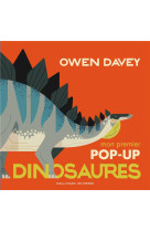 MON PREMIER POP-UP DINO - DAVEY OWEN - NC