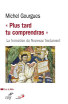 PLUS TARD TU COMPRENDRAS - GOURGUES MICHEL - CERF