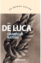 GRANDEUR NATURE - A GRANDEZZA NATURALE - DE LUCA ERRI - GALLIMARD