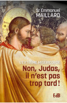 Non Judas, il n’est pas trop tard ! - Sr Emmanuelle Maillard, MAILLARD EMMANUEL, Sr Emmanuelle Maillard - BEATITUDES