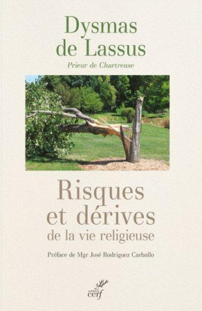 RISQUES ET DERIVES DE LA VIE RELIGIEUSE - LASUS DYSMAS DE - CERF