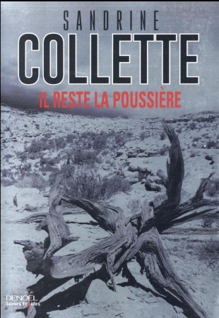 IL RESTE LA POUSSIERE - COLLETTE SANDRINE - Denoël