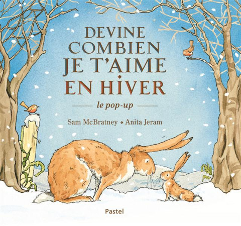 DEVINE COMBIEN JE T-AIME EN HIVER LE POP UP - JERAM ANITA / MCBRAT - Ecole des loisirs