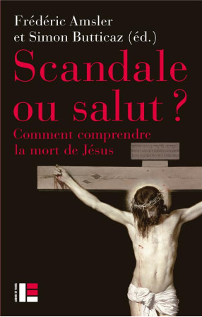 SCANDALE OU SALUT ? - AMSLER/BUTTICAZ - SLATKINE