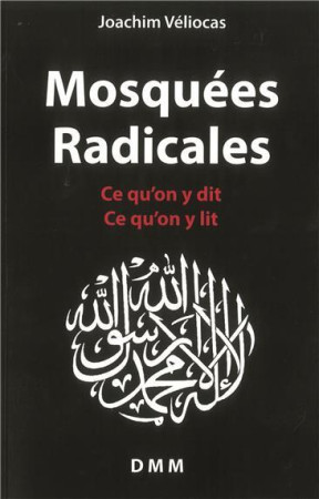 MOSQUEES RADICALES. CE QU ON Y DIT, CE QU O N Y LIT - JOACHIM VELIOCAS - Dominique Martin Morin