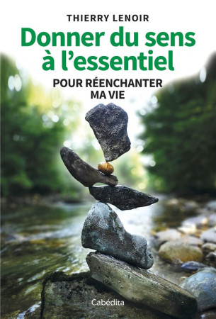 DONNER DU SENS A L-ESSENTIEL POUR REENCHANTER MA VIE - LENOIR THIERRY - CABEDITA