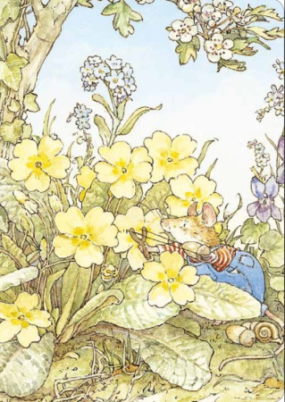 Carnet Printemps - XXX - QILINN